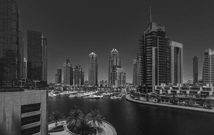 Real Estate Leads - Mint&Co.