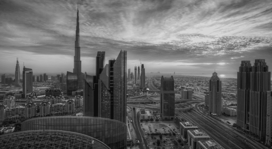 Luxury Real Estate Marketing Agency -Mint&Co.